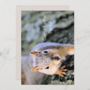 Invitation Bonjour ! Je suis chéri !