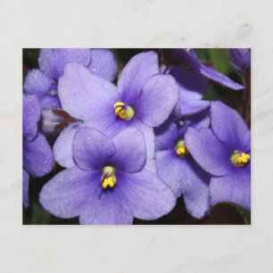 Invitation Boquet violet