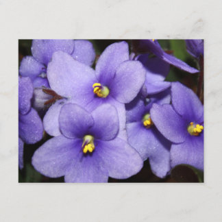 Invitation Boquet violet