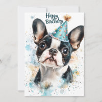 Boston Terrier fête d'anniversaire