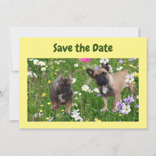 Invitation Bouledogues français prairie Bouledogue Français