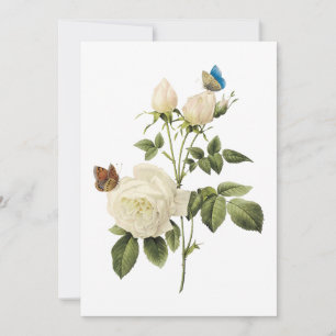Invitation Bouquet de roses blanches avec des papillons Invit