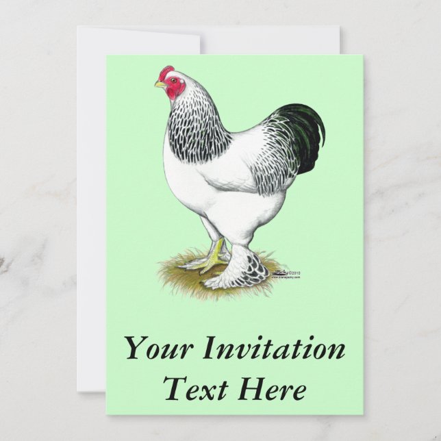 Invitation Brahma : Rooster léger (Devant)