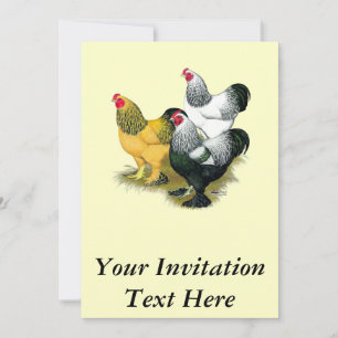 Invitation Brahmas Three Roosters