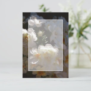 Invitation Budget vierge Roses blanches mariage