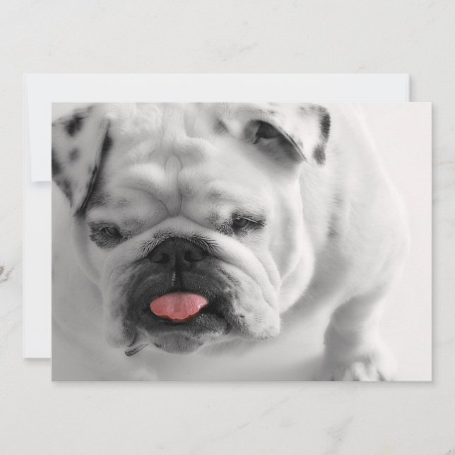 Invitation Bulldog Puppy anglais (Devant)