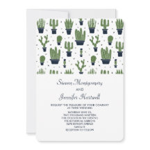 Cactus vert rustique dans les pots de fleurs Maria