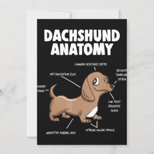 Invitation Cadeau Chien   Anatomie Dachshund Drôle Weiner