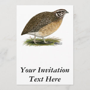 Invitation Cailles de pharaon de Coturnix