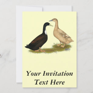 Invitation Canard à couchage hybride