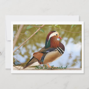 Invitation Canard mandarin