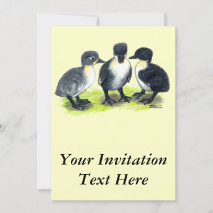 Invitation Canetons suédois bleus