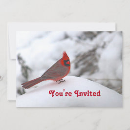 Invitation Cardinal Neige 6241 Anniversaire