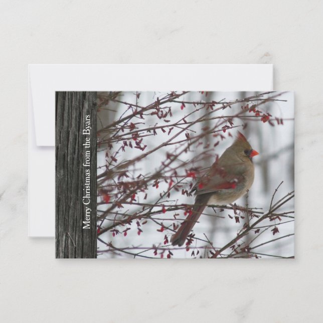 Invitation Cardinal Rustic Wood Holiday Card (Devant)