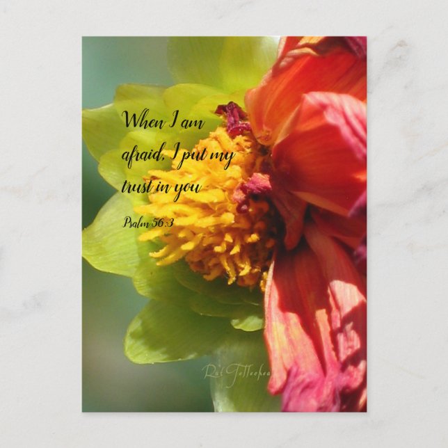 Invitation Carte Postale 2024 JW year text Psalm 56:3  (Devant)
