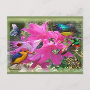 Invitation Carte Postale Amaryllis