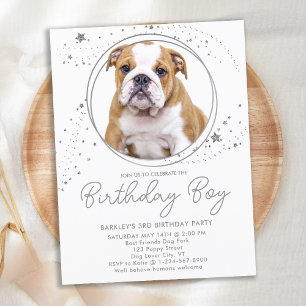 Invitation Carte Postale Argent Stars Personnalisé Animaux de compagnie Pho