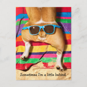 Invitation Carte Postale Beurre de chien avec lunettes de soleil