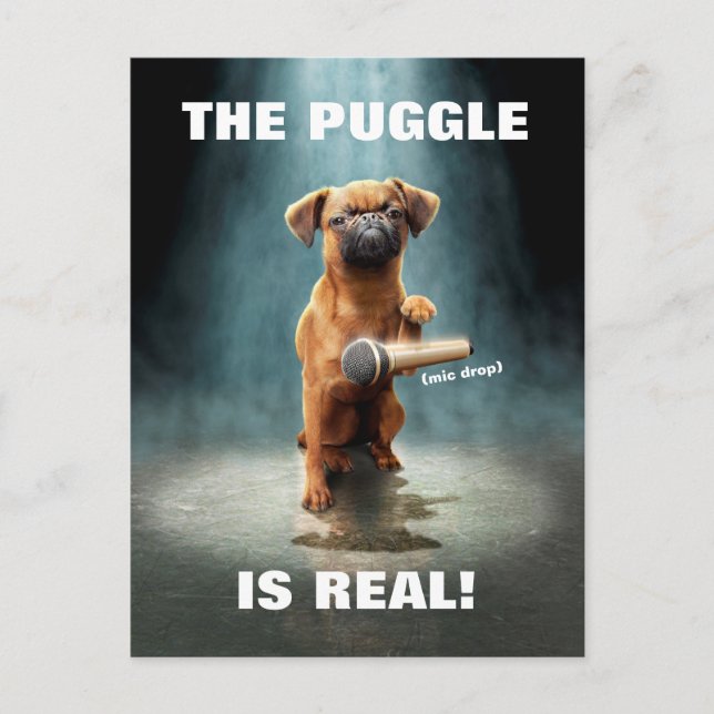 Invitation Carte Postale Bouton Puggle (Devant)