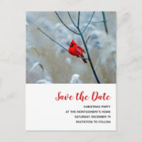 Cardinal rouge en Noël d'hiver Sauvez la date