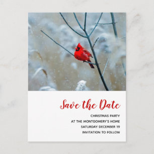 Invitation Carte Postale Cardinal rouge en Noël d'hiver Sauvez la date
