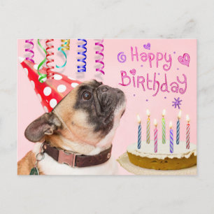 Invitation Carte Postale Carlin de fête et gâteau d'anniversaire