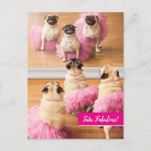Invitation Carte Postale Carlins Ballerina En Tutus