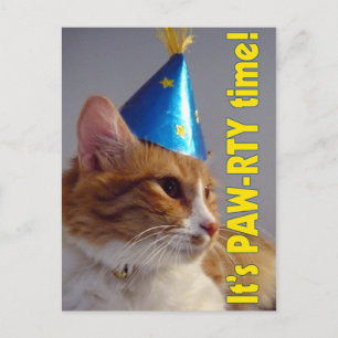Invitation Carte Postale Carton d'invitation à une fête d'anniversaire PAW-