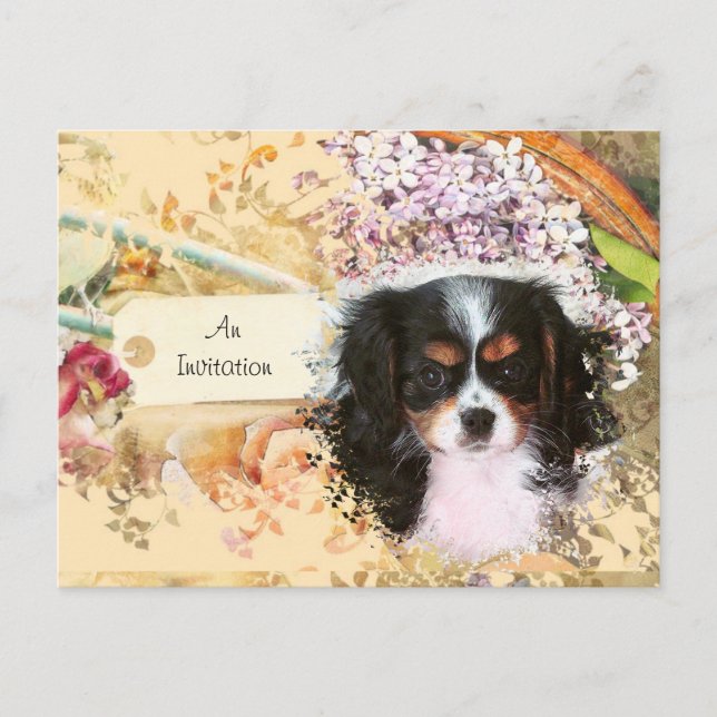Invitation Carte Postale Cavalier King Charles Spaniel (Devant)