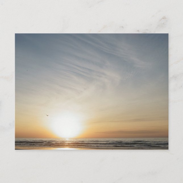Invitation Carte Postale Célébration du lever de soleil sur la plage Blank (Devant)