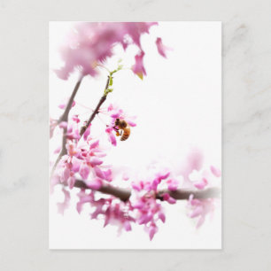 Invitation Carte Postale Cercis et abeille à miel au printemps