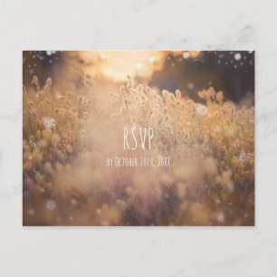 Invitation Carte Postale Champ de fleurs rustique campagne coucher de solei