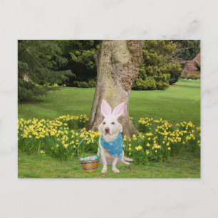 Invitation Carte Postale Chasse aux oeufs de Pâques personnalisable