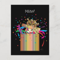 Chat Peek-a-Boo dans une boîte