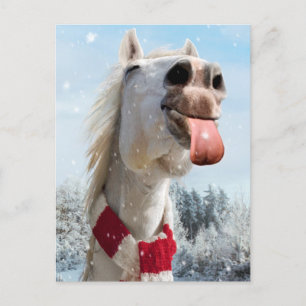 Invitation Carte Postale Cheval Attrapant des Flocons de Neige
