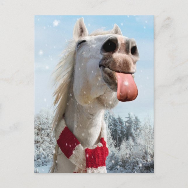 Invitation Carte Postale Cheval Attrapant des Flocons de Neige (Devant)