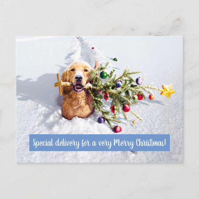 Invitation Carte Postale Chien avec arbre dans la neige (Devant)