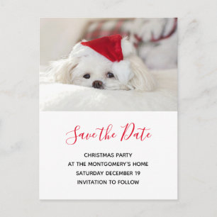 Invitation Carte Postale Chien blanc mignon en rouge Casquette de Noël Sauv