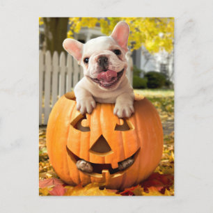 Invitation Carte Postale Chien dans Jack-o-Lantern