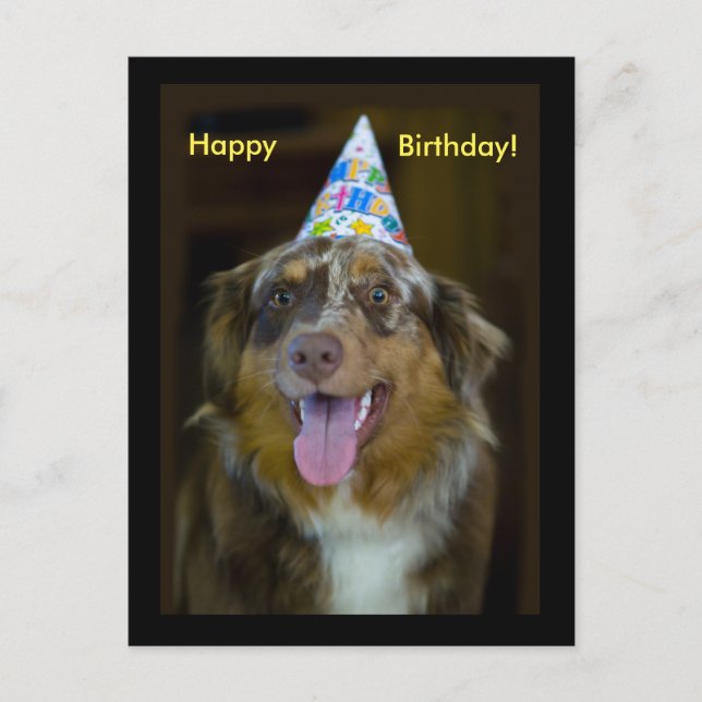 Invitation Carte Postale Chien de fête d'anniversaire du berger australien (Devant)