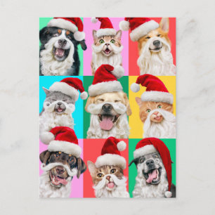 Invitation Carte Postale Chiens et chats avec la barbe du Père Noël