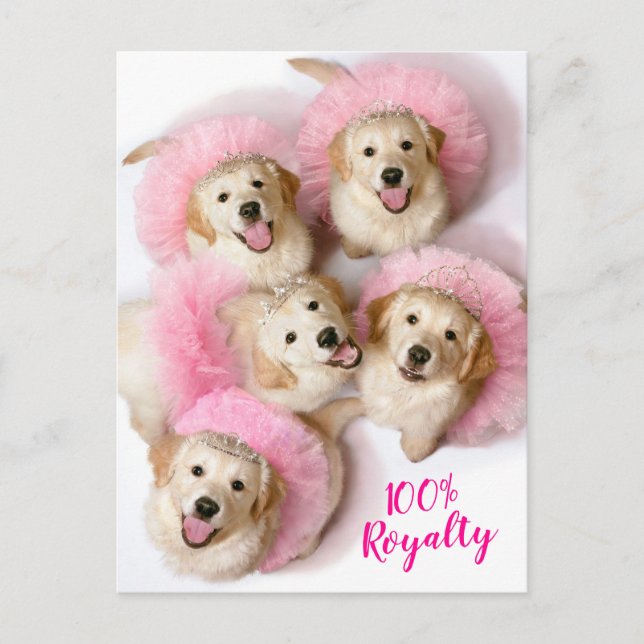 Invitation Carte Postale Chiens princes à Tiaras (Devant)
