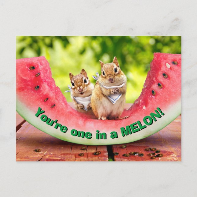 Invitation Carte Postale Chipmunks mangeant de la pastèque (Devant)