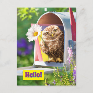 Invitation Carte Postale Chouette Avec Fleur Dans Boîte Aux Lettres