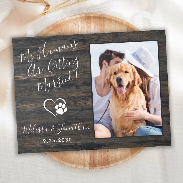 Invitation Carte Postale Code QR de photo de mariage de chien de compagnie  (Créateur téléchargé)