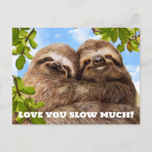 Invitation Carte Postale Couple de paresseux