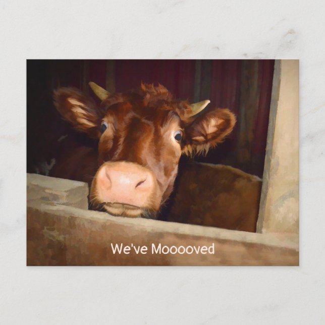 Invitation Carte Postale Cow Country Rustic Grange Funny Farm Moving Card (Devant)