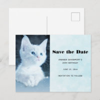 Cuite Kitten blanc avec de beaux yeux bleus