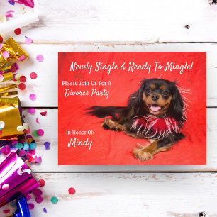 Invitation Carte Postale Divorce Party Cavalier King Charles Spaniel