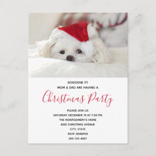 Invitation Carte Postale Drôle chien blanc dans une fête Casquette de Noël